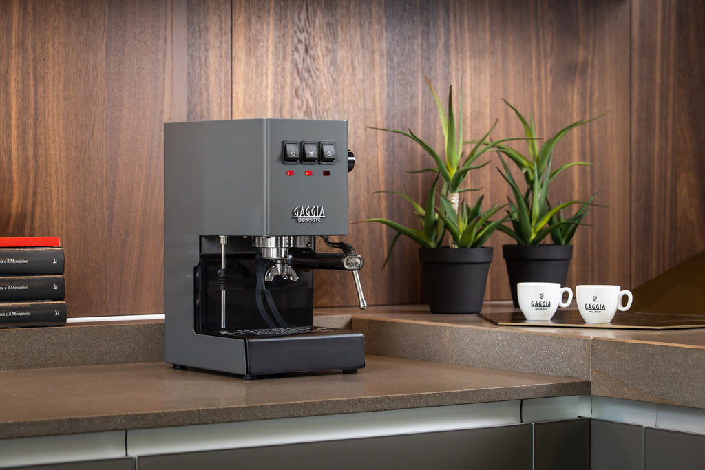 Cafeteira Italiana Gaggia Classic Espresso E24 Manual Cinza